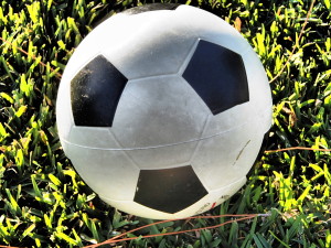 Free Soccer Ball Photo